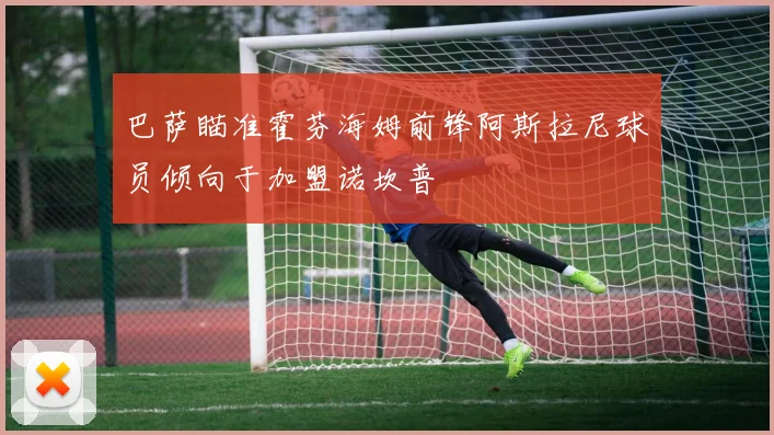 巴萨瞄准霍芬海姆前锋阿斯拉尼球员倾向于加盟诺坎普